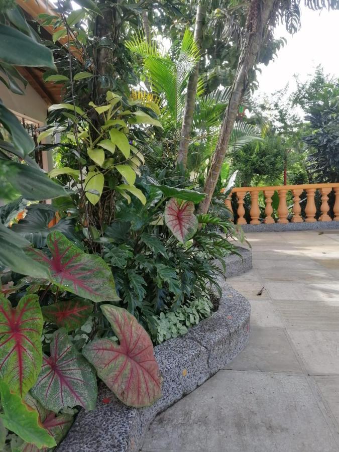 Ecohotel Otrolado Lodge Los Andes  Buitenkant foto