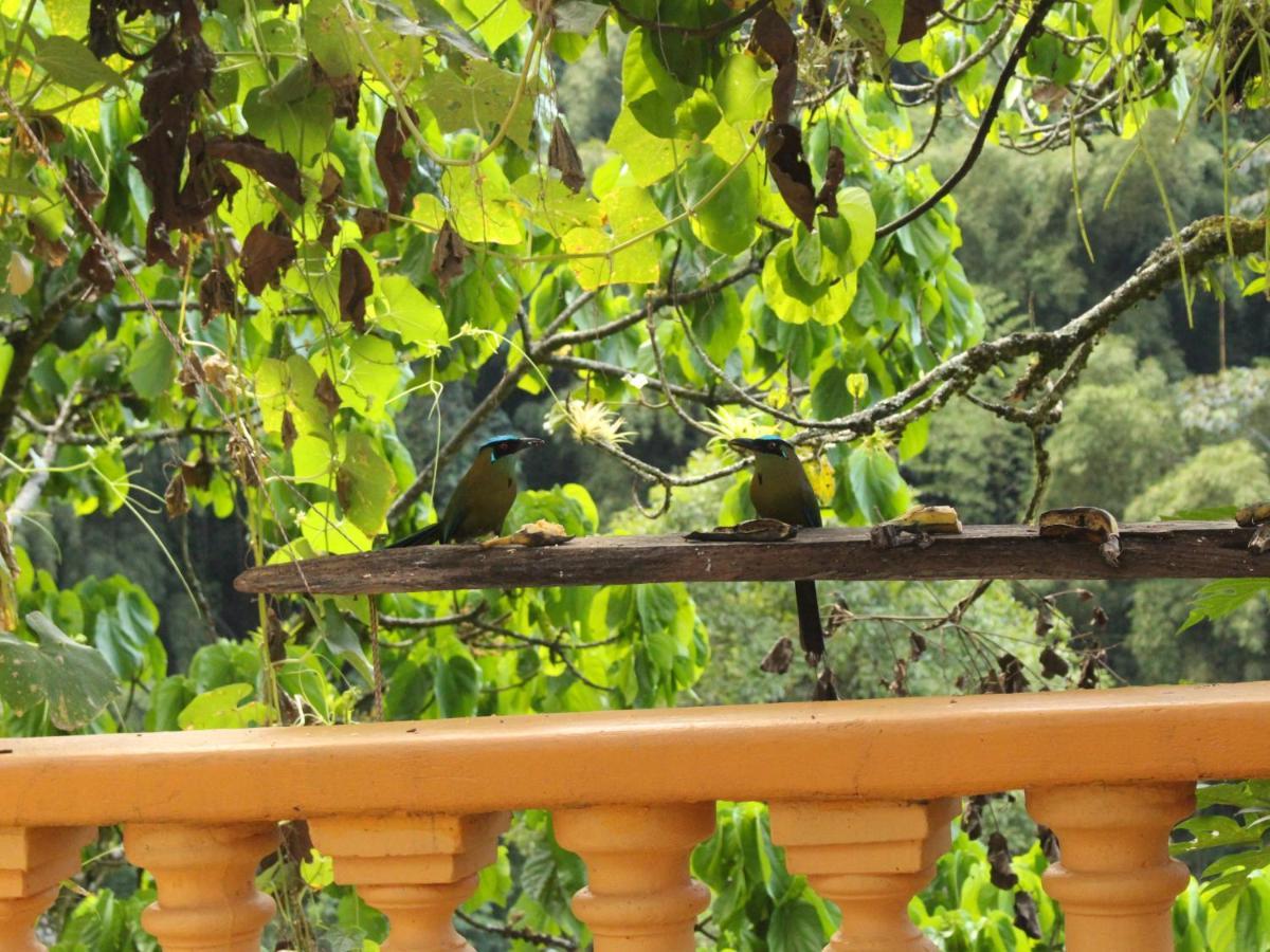 Ecohotel Otrolado Lodge Los Andes  Buitenkant foto